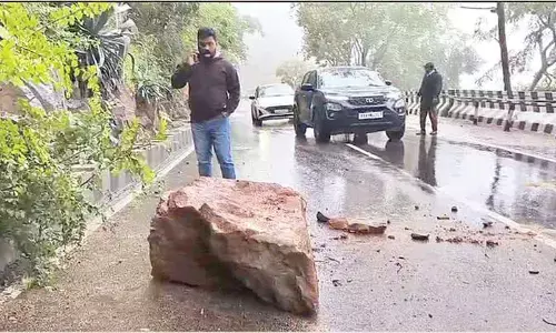 TTD closes Akasaganga, Papavinasam roads