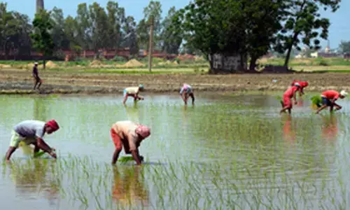 World Bank okays loan for new project to boost earnings of UP farmers