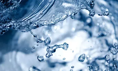 431 Water Users’ Associations elected unopposed