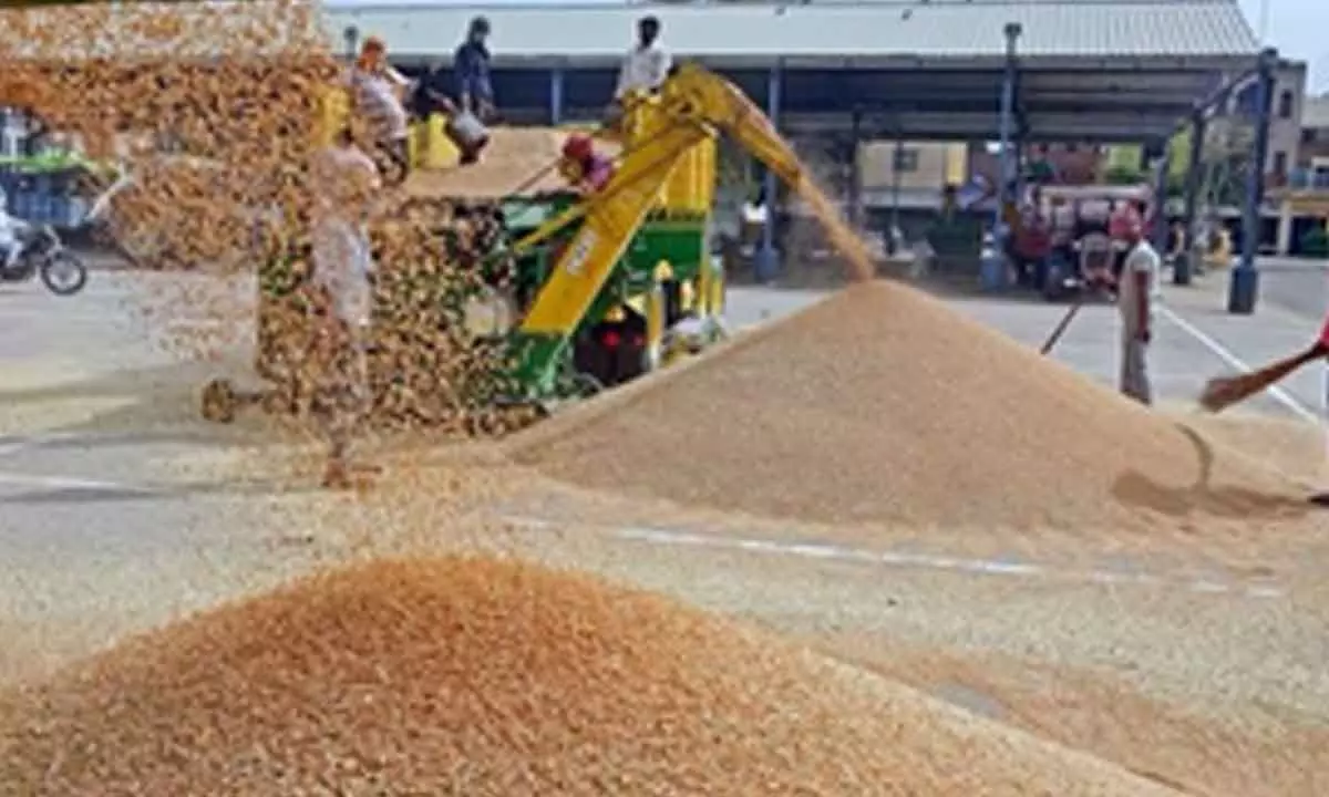 Arrival of kharif crops, robust outlook for rabi augur well for food inflation outlook