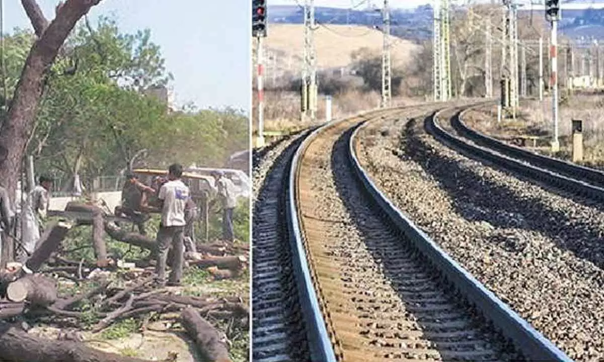 SC lifts stay on tree felling for Rly line between Mathura, Jhansi