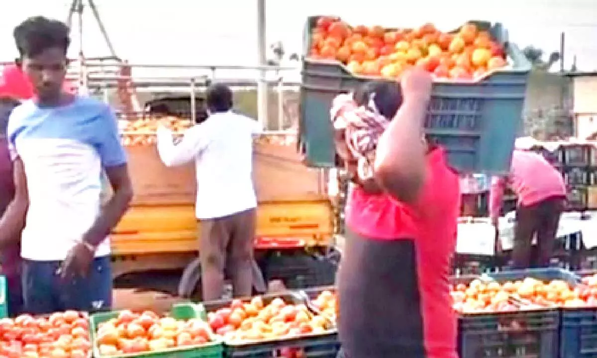 Despite minister’s orders, tomatoes fail to fetch MSP