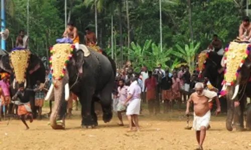 Kerala temple trusts moves SC challenging restrictions on elephant management in Thrissur Pooram