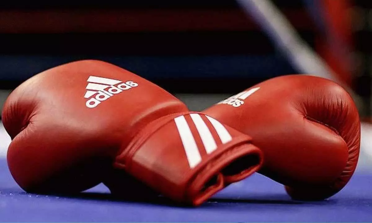 India to host World Boxing Cup Final in November 2025