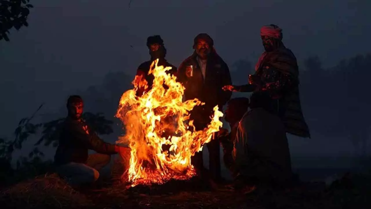 Rajasthan under cold wave: Fatehpur shivers at 0.1 degree Celcius, Sangariya at 1.3 degrees