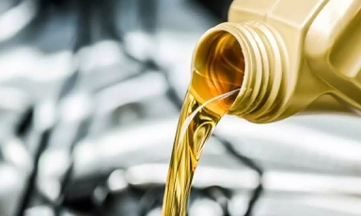 Indonesia to launch B40 biodiesel in 2025