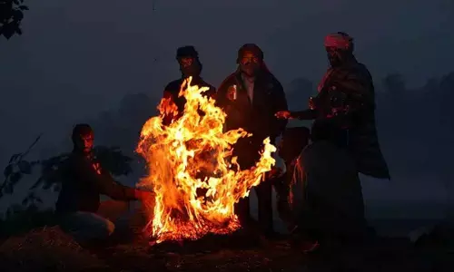 Rajasthan under cold wave: Fatehpur shivers at 0.1 degree Celcius, Sangariya at 1.3 degrees