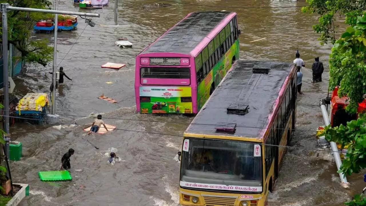 Urban Flooding: Learning from Chennais Past to Build Resilient Cities