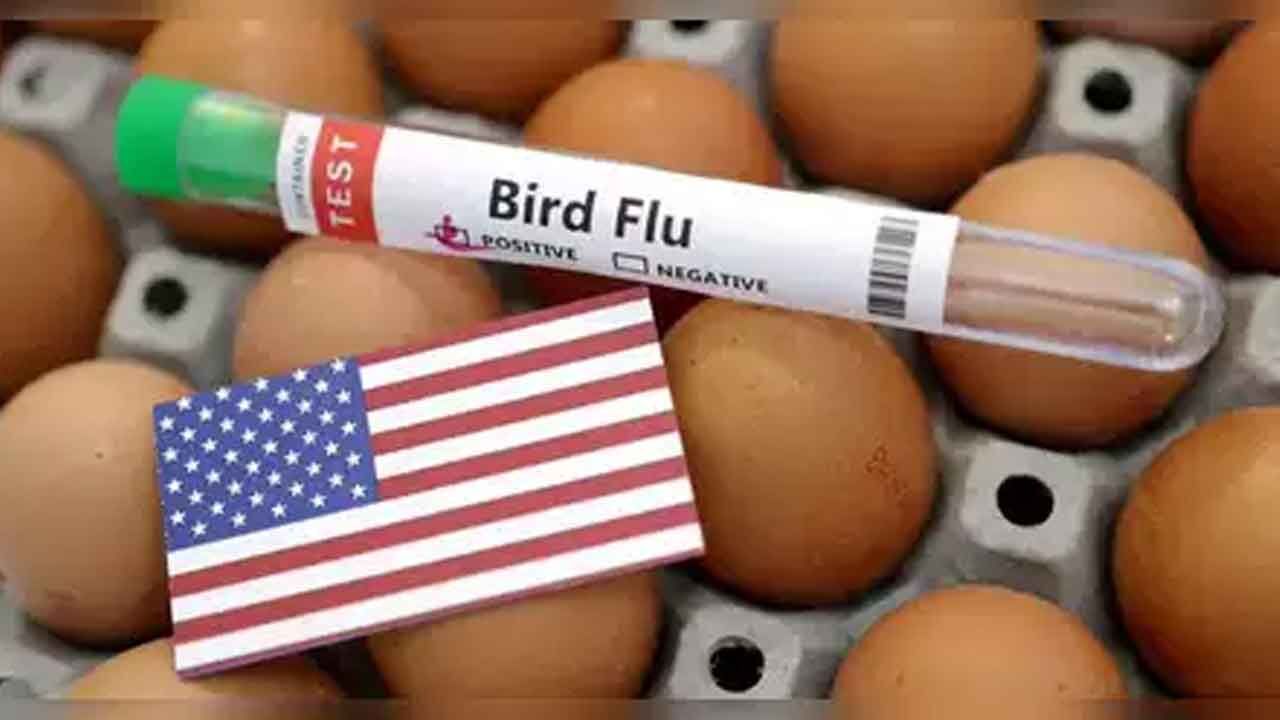 US California declares state of emergency over bird flu