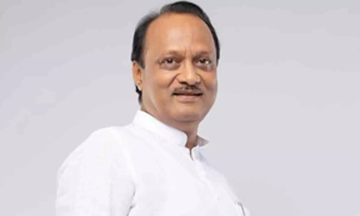 Ajit Pawar to Centre: Remove 20 pc export duty on onions urgently to help farmers