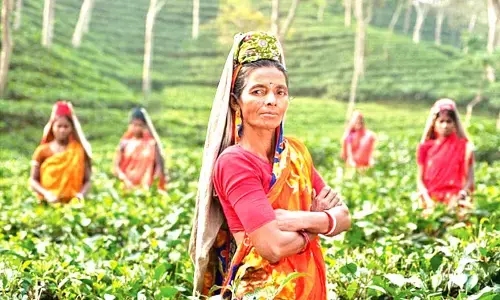 Empowering farmers thru PM-AASHA