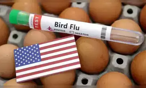 US California declares state of emergency over bird flu
