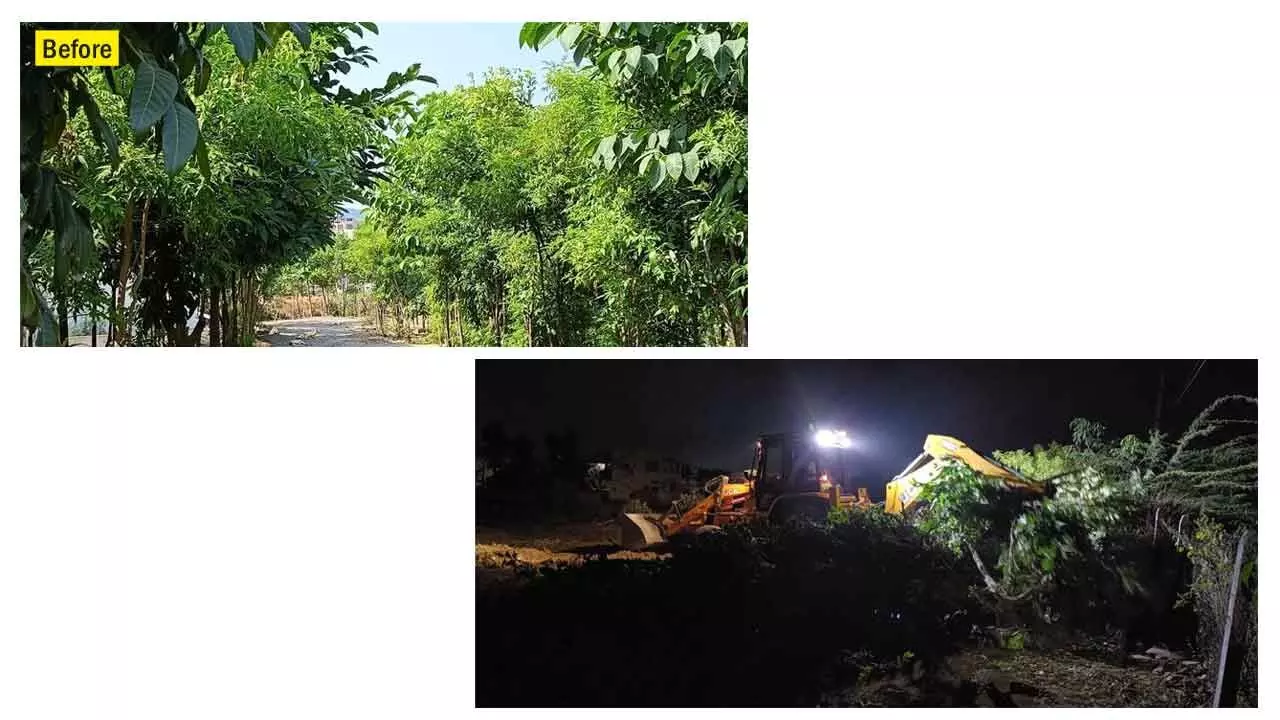 Wanaparthy: Trees ‘unintentionally’ removed while clearing weeds