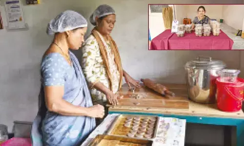 ‘Bhadradri Millet Magic’ works wonders for tribal women