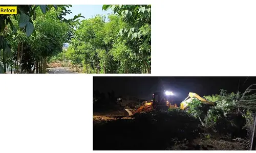 Wanaparthy: Trees ‘unintentionally’ removed while clearing weeds