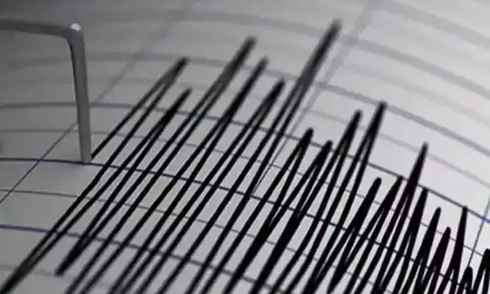 Minor Earthquake Tremors Felt in Prakasam District