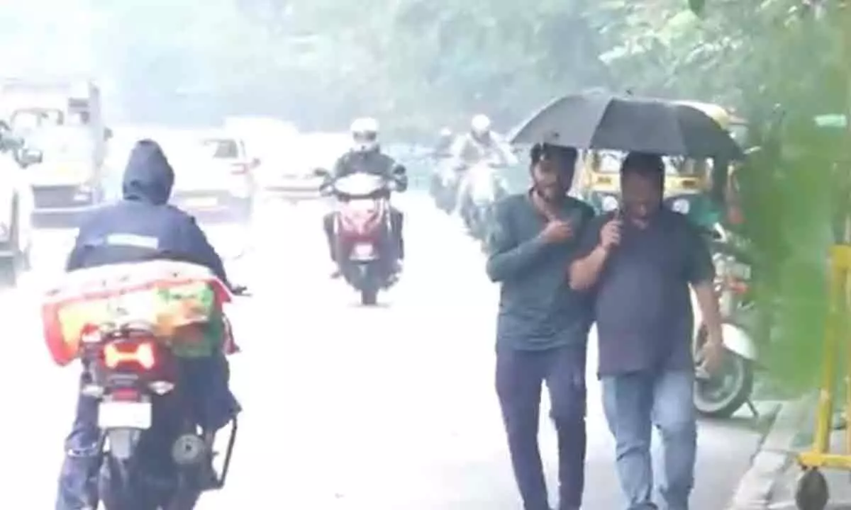 Depression-induced rain lashes Odisha