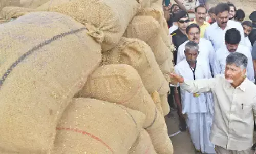 Chief Minister N Chandrababu Naidu inspecting paddy stock during Revenue Sadassu in Ganguru on Friday