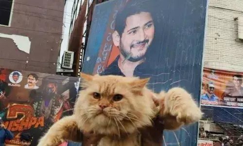Mahesh Babus Voiceover Roars to Life: Hyderabad Fans Celebrate The Lion King