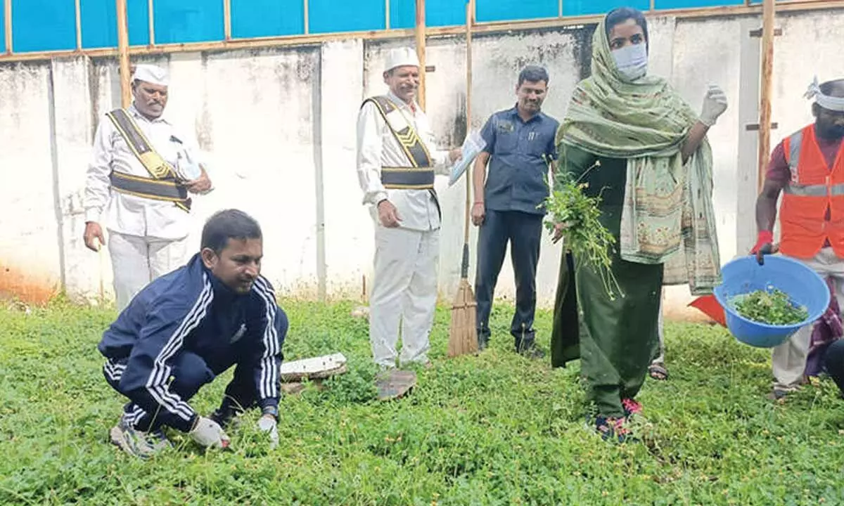 Collector takes part in cleanliness drive