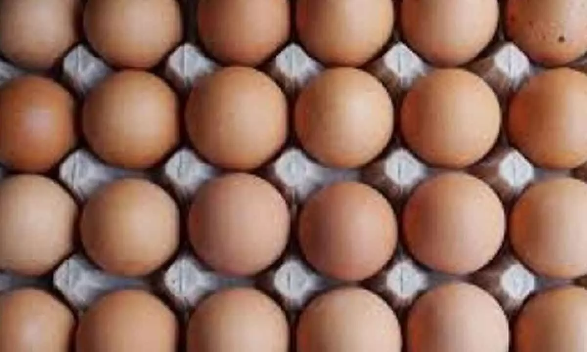 US egg prices soar to yearly high amid bird flu, holiday demand