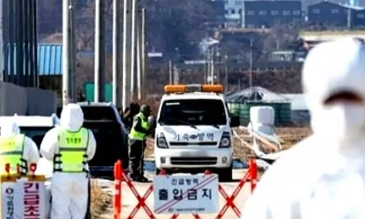 South Korea reports new avian influenza case at regional farm