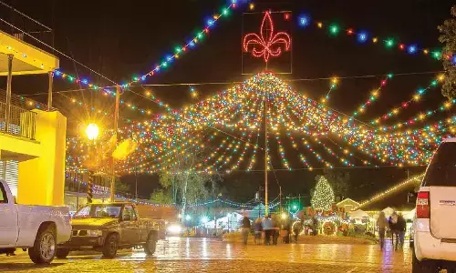 Christmas Countdown in Louisiana