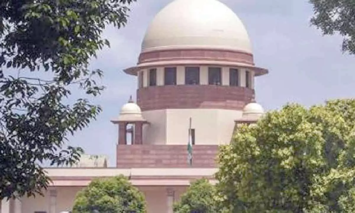 SC orders strict action against illegal construction