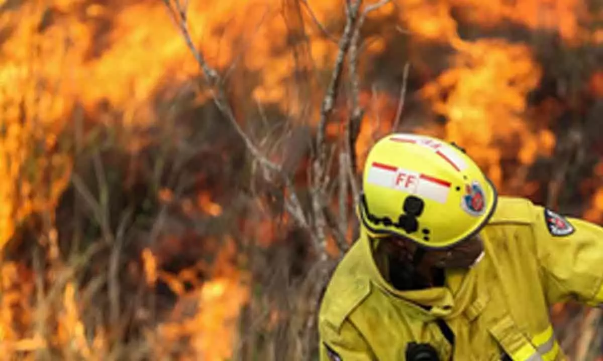 Australia prepares for catastrophic bushfire over Christmas period