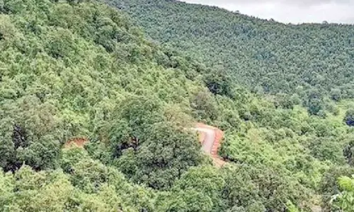 Odisha ranked 2nd in forest cover growth