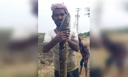 Massive 10-Kilo Korra Meenu Fish Found in Nettampadu Canal