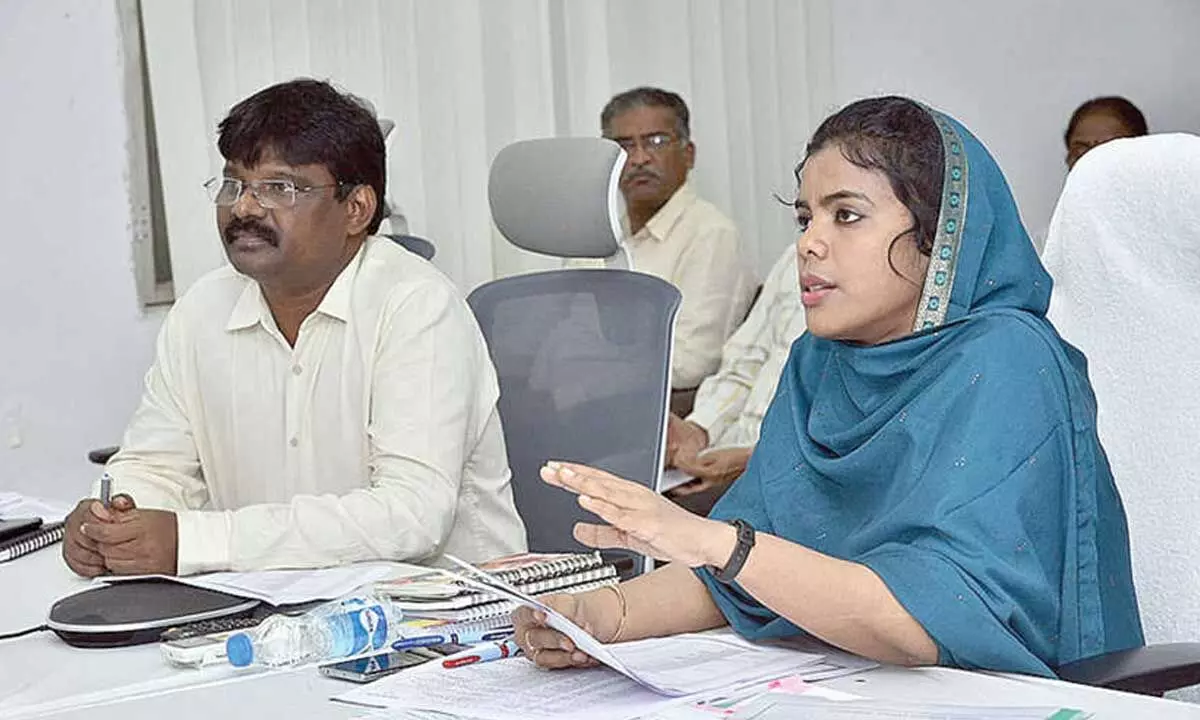 Collector Ansariya reviews development programmes