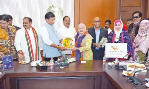 Sridhar Babu hardsells key sectors to Malayasia