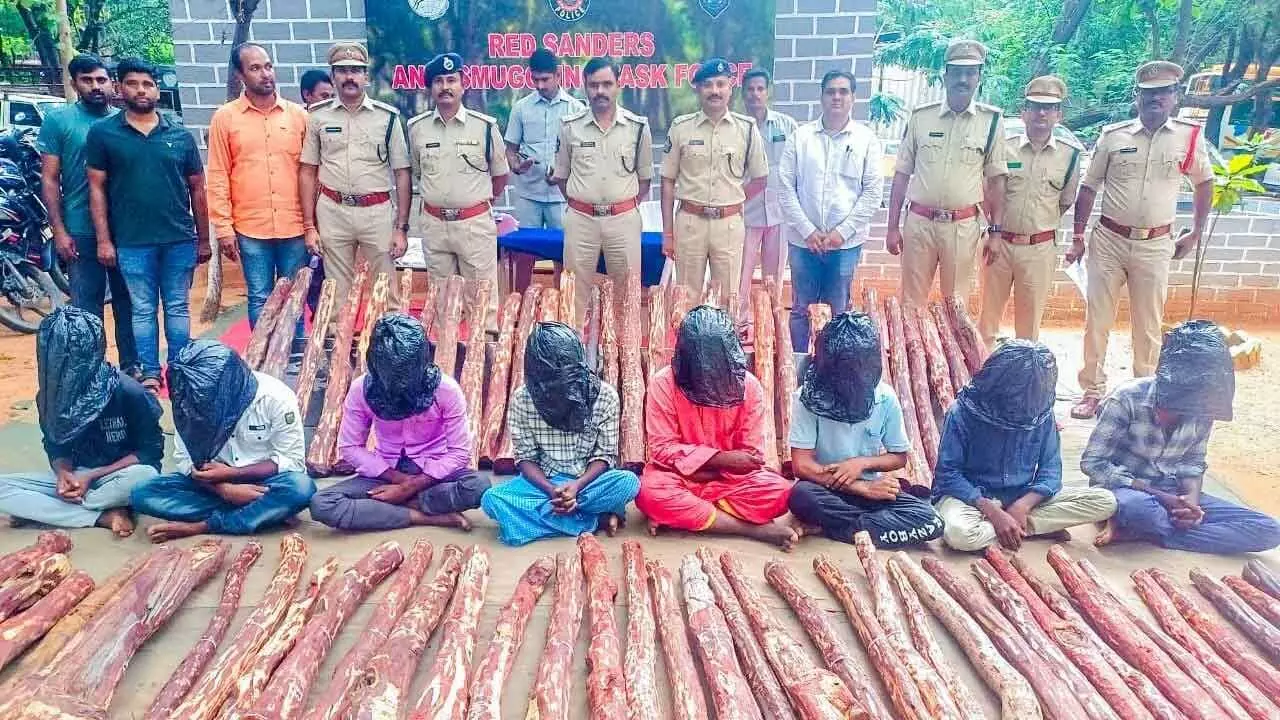 Tirupati: 8 held; 69 red sanders logs seized