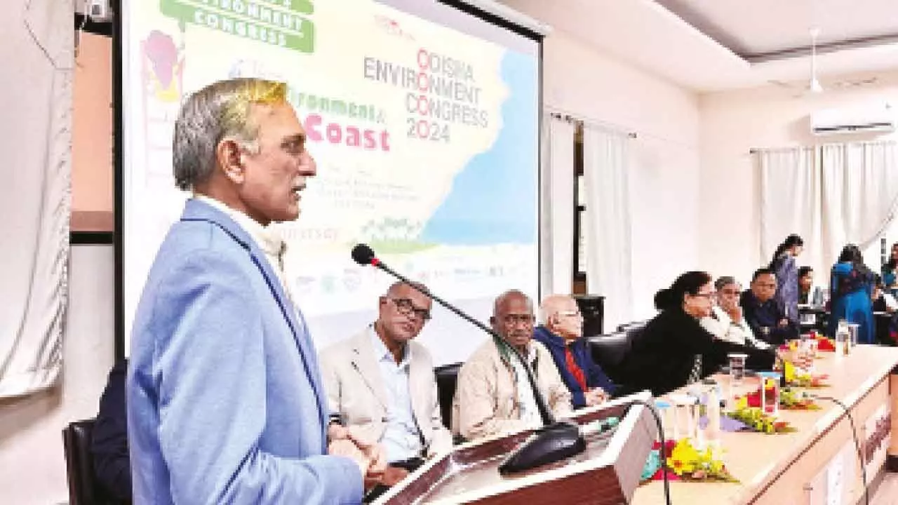 OEC to prepare coastal protection plan for Odisha