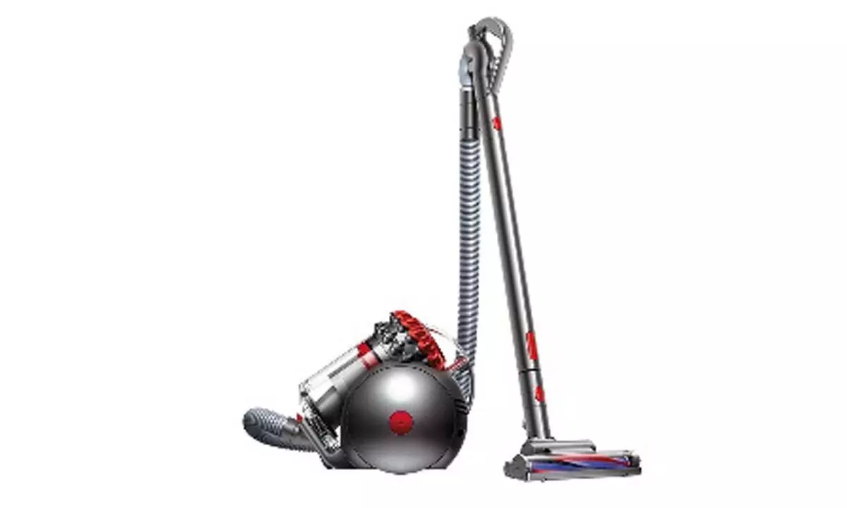 Dyson Big BallTM vacuum