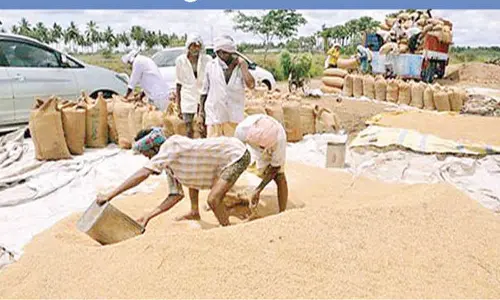 TG sets record in fine rice purchase