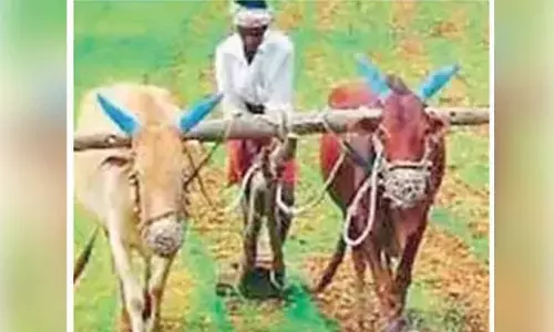 Rythu Bharosa to pick best from PM -KISAN scheme