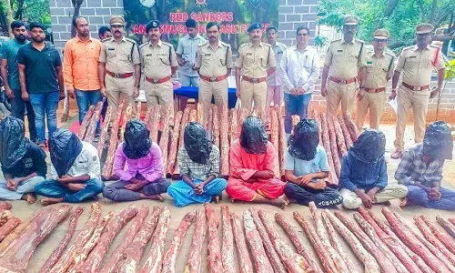 Tirupati: 8 held; 69 red sanders logs seized