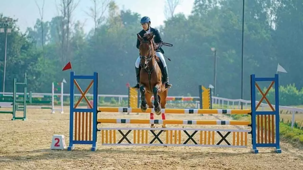 Junior National Equestrian: Anupati, Raju emerge winners