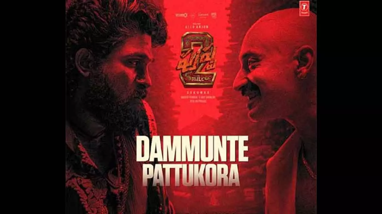 Debate Erupts Over Dammunte Pattukora Shekavattu Song from Pushpa 2