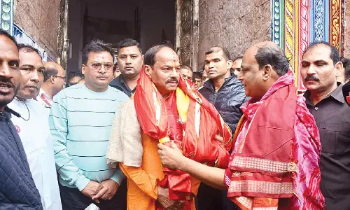 BJP will decide my future role: Raghubar