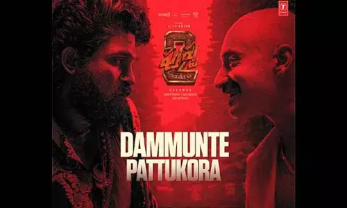 Debate Erupts Over Dammunte Pattukora Shekavattu Song from Pushpa 2