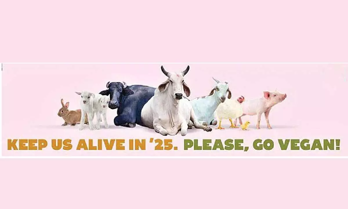 PETA sets up billboard, urges to ‘Go Vegan’