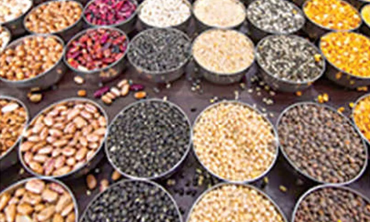 38 food commodities on govt’s price radar