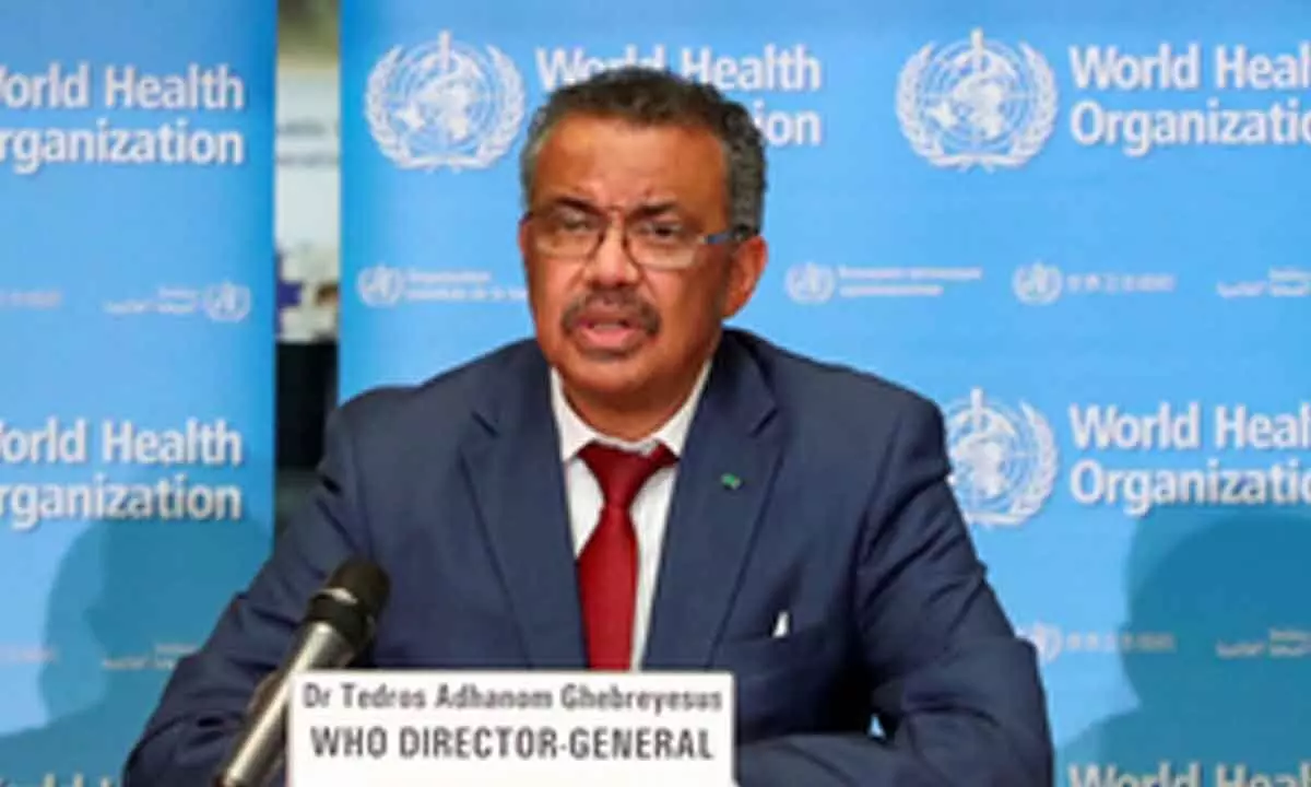 WHO Chief calls for release of UN staff following negotiation with Houthis