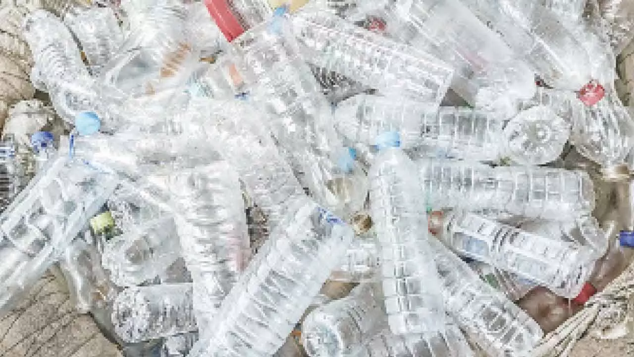 Single-use plastic bottles may be spreading antibiotic resistance: INST study