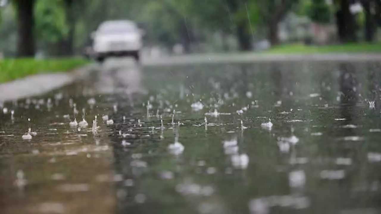 Rain, hailstorm increase chill in Rajasthan, 12 hurt in various incidents