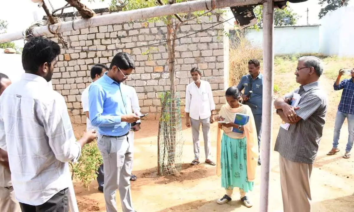 Indiramma illu survey should be completed in time, collector