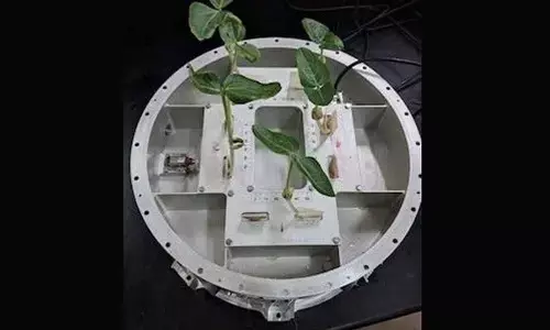 IN-SPACe propels start-ups to experiment in space